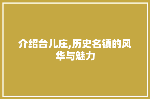 介绍台儿庄,历史名镇的风华与魅力 网站建设公司