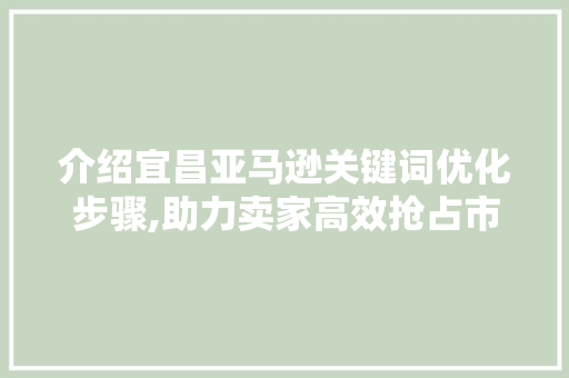 介绍宜昌亚马逊关键词优化步骤,助力卖家高效抢占市场 网站建设公司