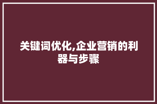 关键词优化,企业营销的利器与步骤 网站建设公司
