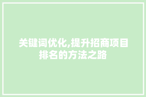 关键词优化,提升招商项目排名的方法之路 网站建设公司