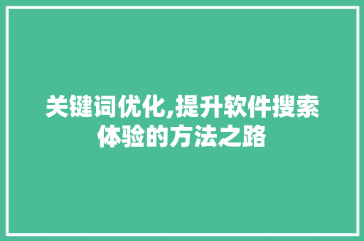 关键词优化,提升软件搜索体验的方法之路 必应SEO