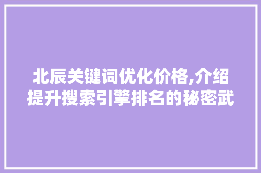 北辰关键词优化价格,介绍提升搜索引擎排名的秘密武器 网站建设公司