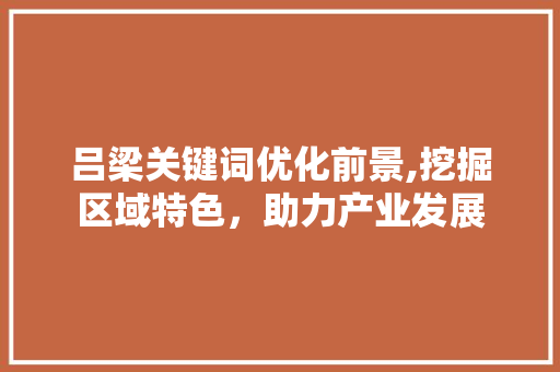 吕梁关键词优化前景,挖掘区域特色，助力产业发展 网站建设公司