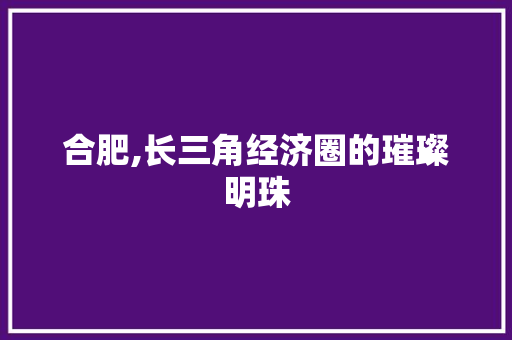 合肥,长三角经济圈的璀璨明珠 网站建设公司
