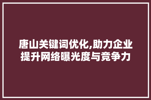 唐山关键词优化,助力企业提升网络曝光度与竞争力 百度SEO