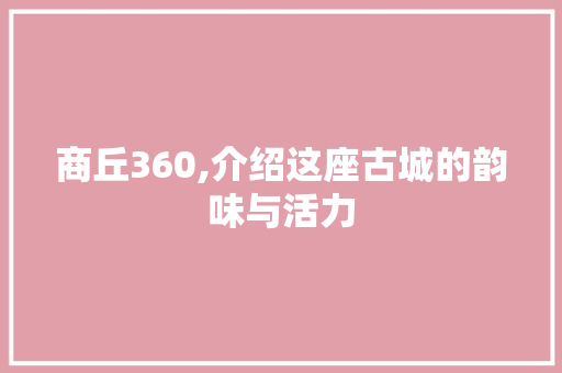 商丘360,介绍这座古城的韵味与活力 网站建设公司