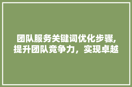 团队服务关键词优化步骤,提升团队竞争力，实现卓越服务 网站建设公司