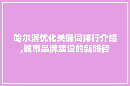 哈尔滨优化关键词排行介绍,城市品牌建设的新路径 网站建设公司