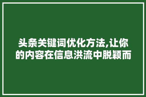 头条关键词优化方法,让你的内容在信息洪流中脱颖而出 网站建设公司