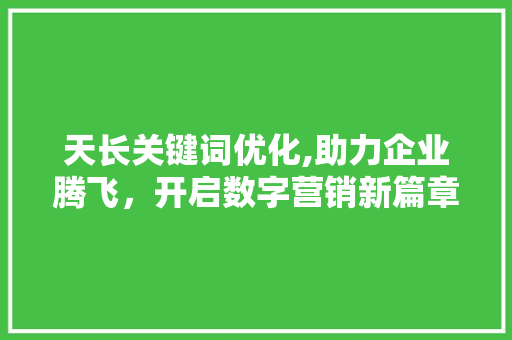 天长关键词优化,助力企业腾飞，开启数字营销新篇章 百度SEO