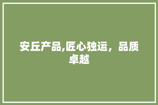 安丘产品,匠心独运，品质卓越 网站建设公司