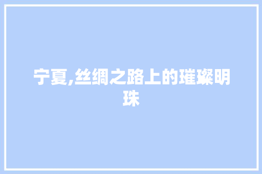 宁夏,丝绸之路上的璀璨明珠