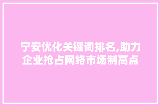 宁安优化关键词排名,助力企业抢占网络市场制高点 百度SEO
