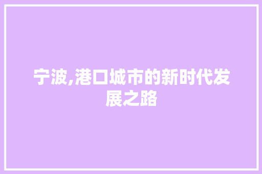 宁波,港口城市的新时代发展之路 网站建设公司