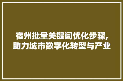 宿州批量关键词优化步骤,助力城市数字化转型与产业发展 网站建设公司
