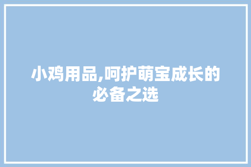 小鸡用品,呵护萌宝成长的必备之选