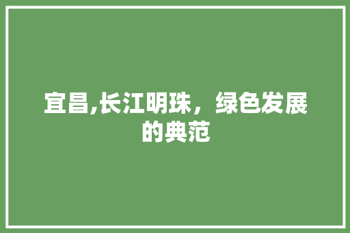 宜昌,长江明珠，绿色发展的典范 网站建设公司