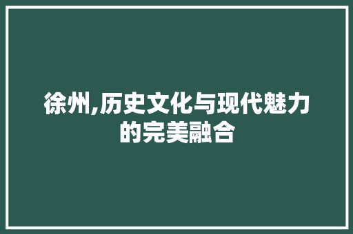徐州,历史文化与现代魅力的完美融合 神马SEO
