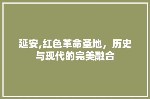 延安,红色革命圣地，历史与现代的完美融合 神马SEO