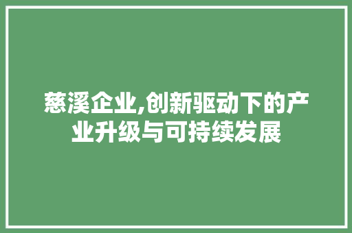 慈溪企业,创新驱动下的产业升级与可持续发展 神马SEO