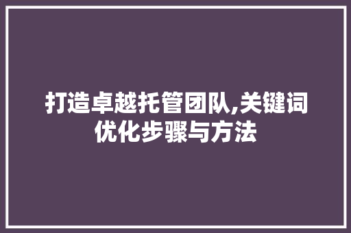 打造卓越托管团队,关键词优化步骤与方法