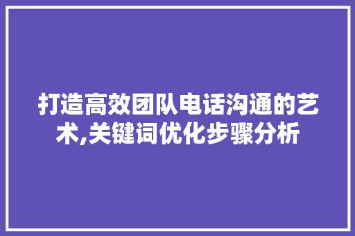 打造高效团队电话沟通的艺术,关键词优化步骤分析
