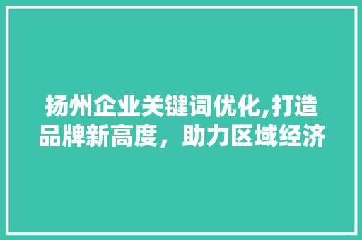 扬州企业关键词优化,打造品牌新高度，助力区域经济发展 神马SEO