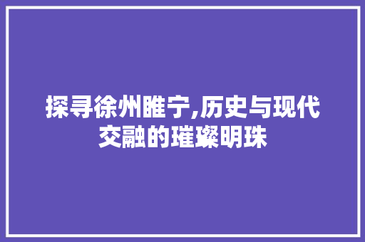 探寻徐州睢宁,历史与现代交融的璀璨明珠 网站建设公司