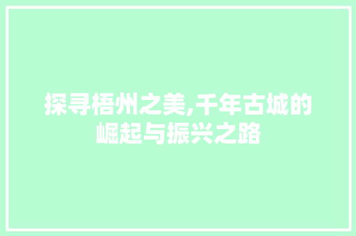 探寻梧州之美,千年古城的崛起与振兴之路 网站建设公司
