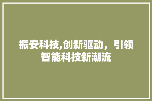 振安科技,创新驱动，引领智能科技新潮流 神马SEO