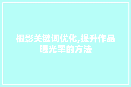 摄影关键词优化,提升作品曝光率的方法 神马SEO