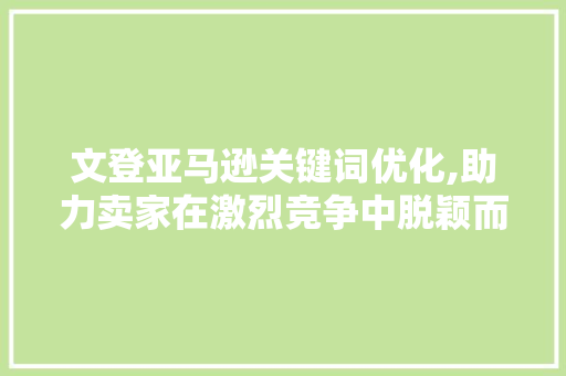 文登亚马逊关键词优化,助力卖家在激烈竞争中脱颖而出 神马SEO