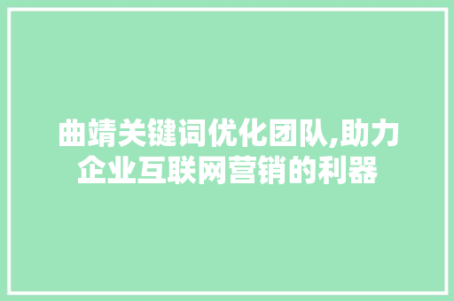 曲靖关键词优化团队,助力企业互联网营销的利器 神马SEO