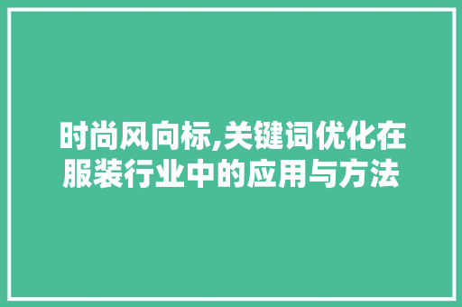 时尚风向标,关键词优化在服装行业中的应用与方法 神马SEO