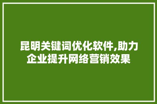 昆明关键词优化软件,助力企业提升网络营销效果 网站建设公司