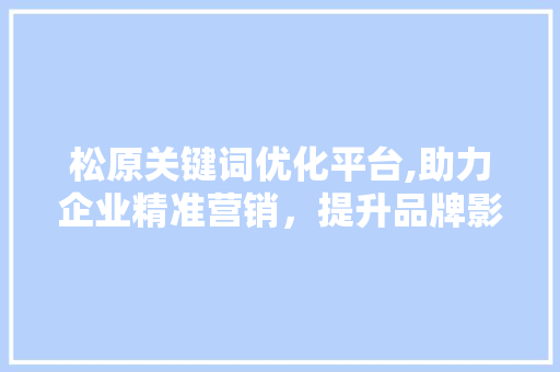 松原关键词优化平台,助力企业精准营销，提升品牌影响力 百度SEO