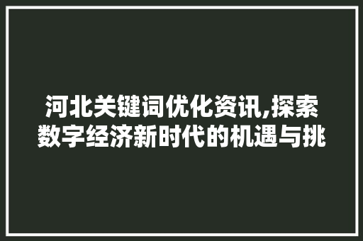 河北关键词优化资讯,探索数字经济新时代的机遇与挑战 神马SEO