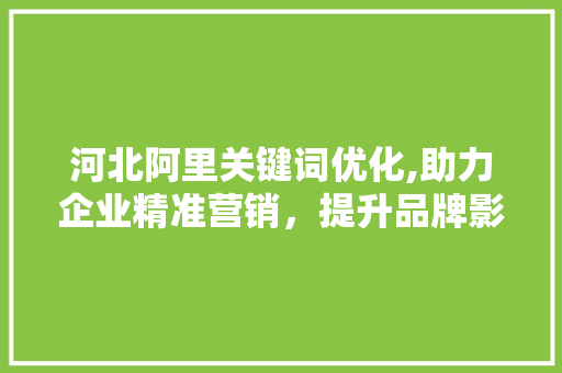 河北阿里关键词优化,助力企业精准营销，提升品牌影响力 搜狗SEO