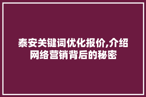 泰安关键词优化报价,介绍网络营销背后的秘密 百度SEO