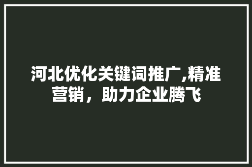 河北优化关键词推广,精准营销，助力企业腾飞 必应SEO