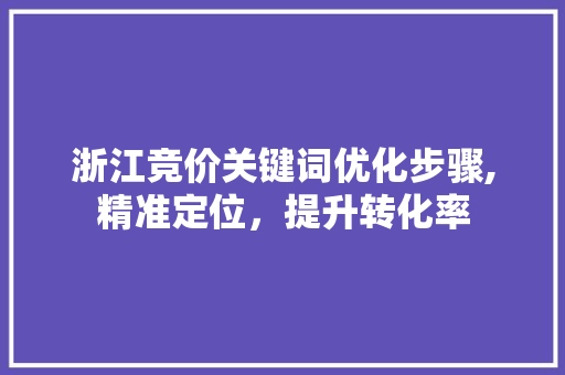 浙江竞价关键词优化步骤,精准定位，提升转化率