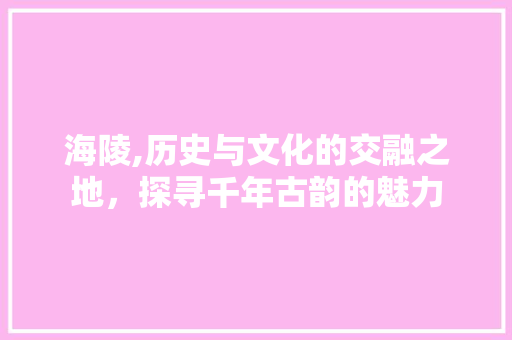 海陵,历史与文化的交融之地，探寻千年古韵的魅力 必应SEO