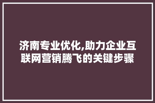 济南专业优化,助力企业互联网营销腾飞的关键步骤 网站建设公司