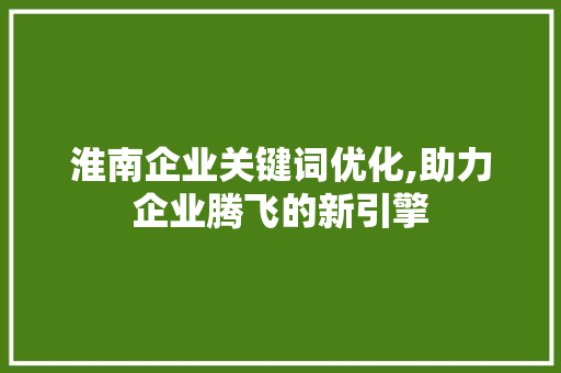 淮南企业关键词优化,助力企业腾飞的新引擎 神马SEO
