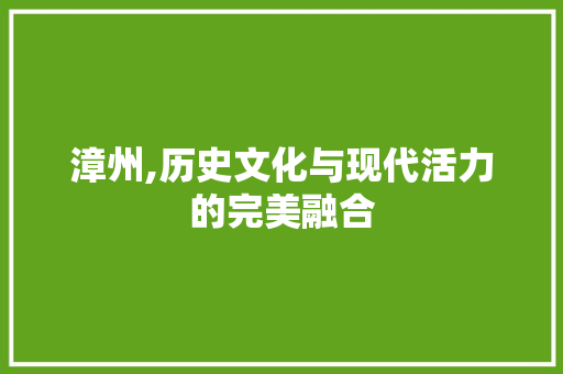 漳州,历史文化与现代活力的完美融合 网站建设公司