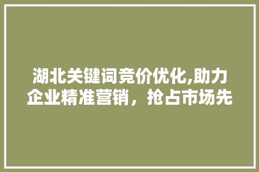 湖北关键词竞价优化,助力企业精准营销，抢占市场先机 网站建设公司