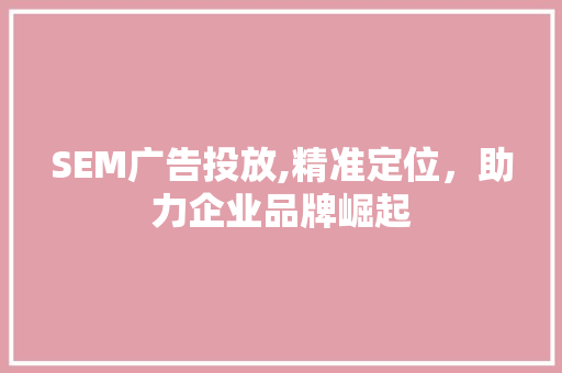 SEM广告投放,精准定位，助力企业品牌崛起 搜狗SEO