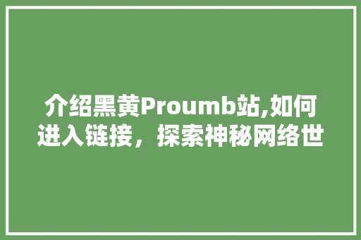 介绍黑黄Proumb站,如何进入链接，探索神秘网络世界 百度SEO