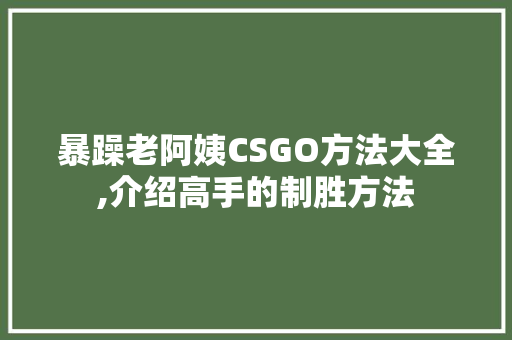 暴躁老阿姨CSGO方法大全,介绍高手的制胜方法 搜狗SEO