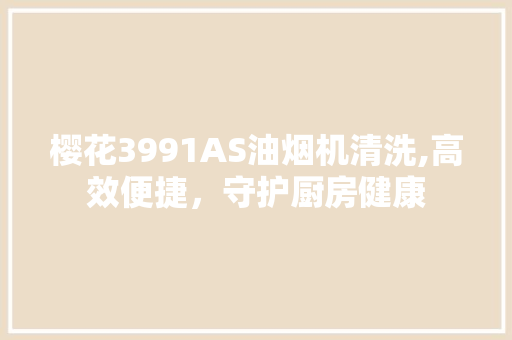 樱花3991AS油烟机清洗,高效便捷，守护厨房健康 神马SEO